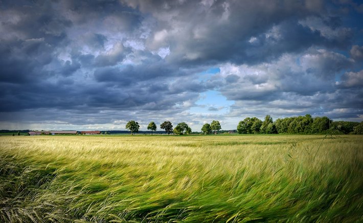 Learning to Read the Sky Like a Farmer